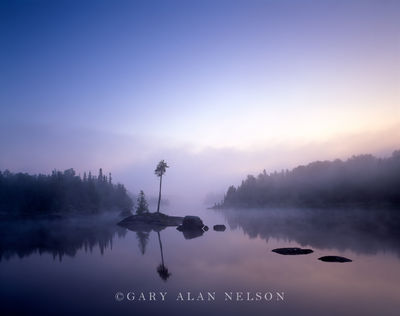 Tree and Fog over Lake Three print