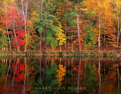 Autumn reflections on Loon Lake print
