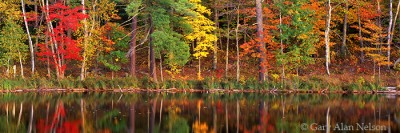 Reflections on Loon Lake print