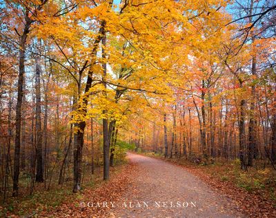 Country Road n Autumn print