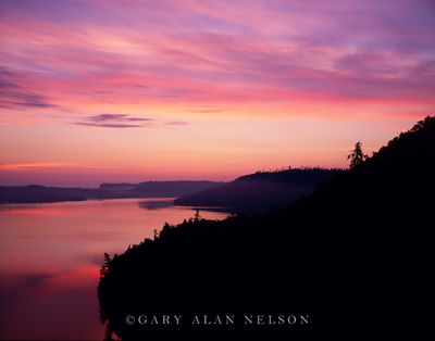 Blush of Dawn over Rose Lake print