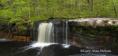 Wolf Creek Falls print