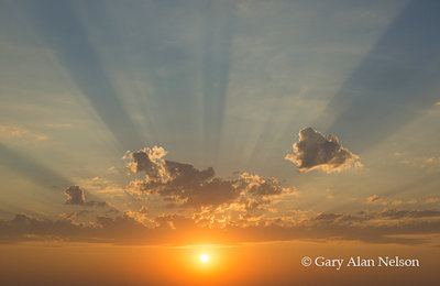 Setting Sun an Rays print