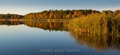 Coon Lake print