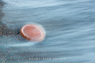 Stone and Surf print