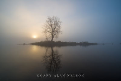 Sunrise over Lone Tree print