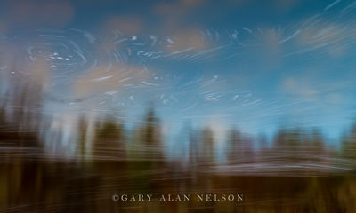 River Reflections print