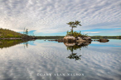 Island on Seagull Lake, Boundary Waters Canoe Area Wilderness, Minnesota