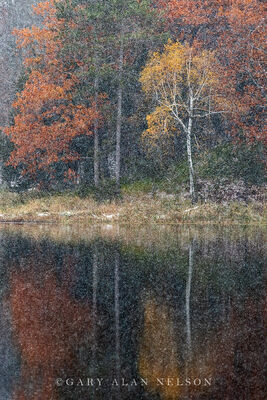 Autumn snowfall on Bull Lake