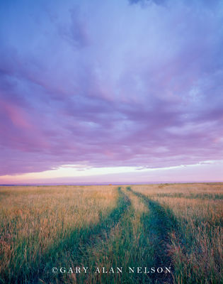Trail and Sky print