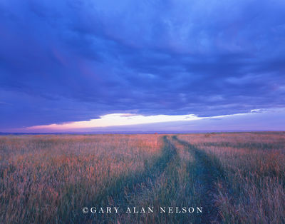Trail and Sky print