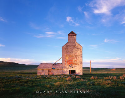 Grain Elevator print
