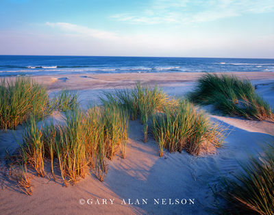 Dunes on the Atlantic