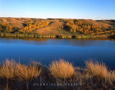 Prairie Grass and Missouri River print