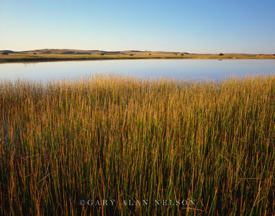Prairie Pothole print
