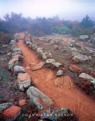 Trail on Elk Mountain print