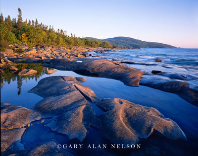Grasses and Shoreline on Lake Superior print