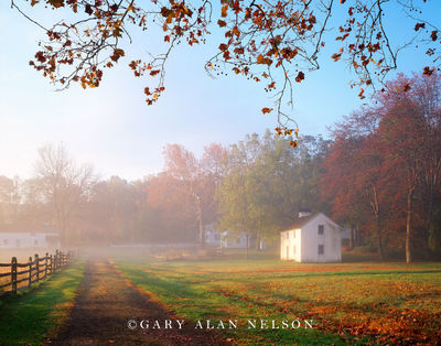 Fog and Country Lane