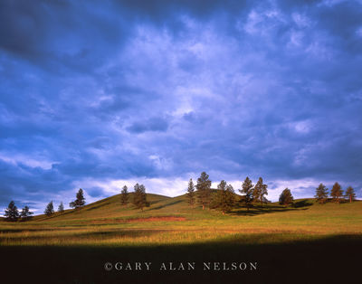 Hills, clouds and trees print