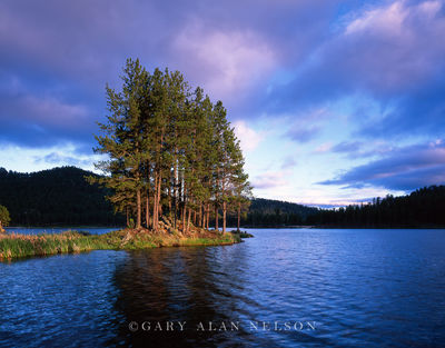 Island on Stockaid Lake print
