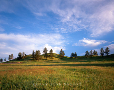 Gamboling Hills print