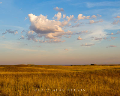 Prairie on the Badlands print