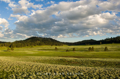 Rolling Hills on the Prairie print