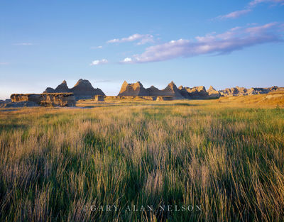 Bluestem in the Badlands print