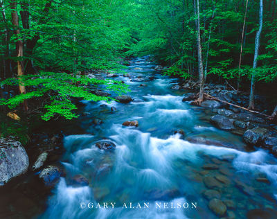Little River
