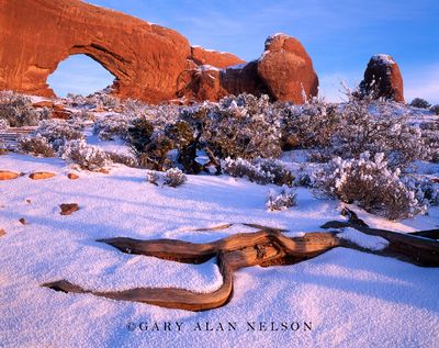 Hoar Frost and the North Window print