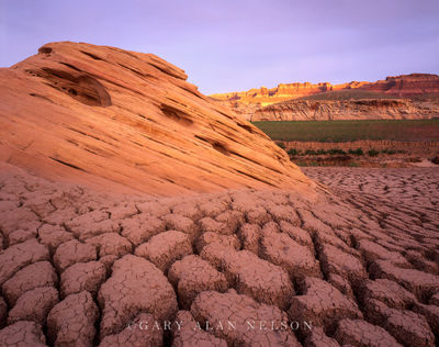 Dried Lake Bed print