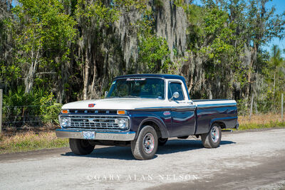 1965 Ford F-100