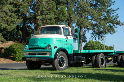 1958 Dodge C-500 Utility