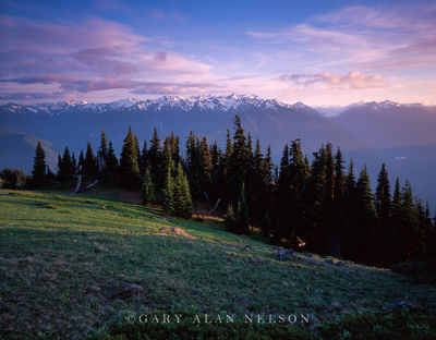 Hurricane Ridge print