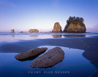 Tide Pools and Seastacks print