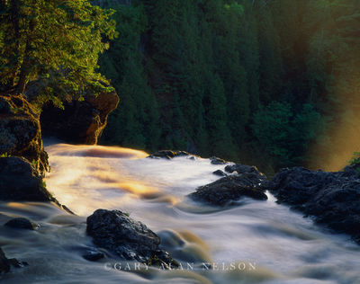 Evening Light on the Black River print