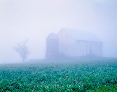 Fog and Barn print