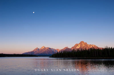 Moon over the Teton Range print