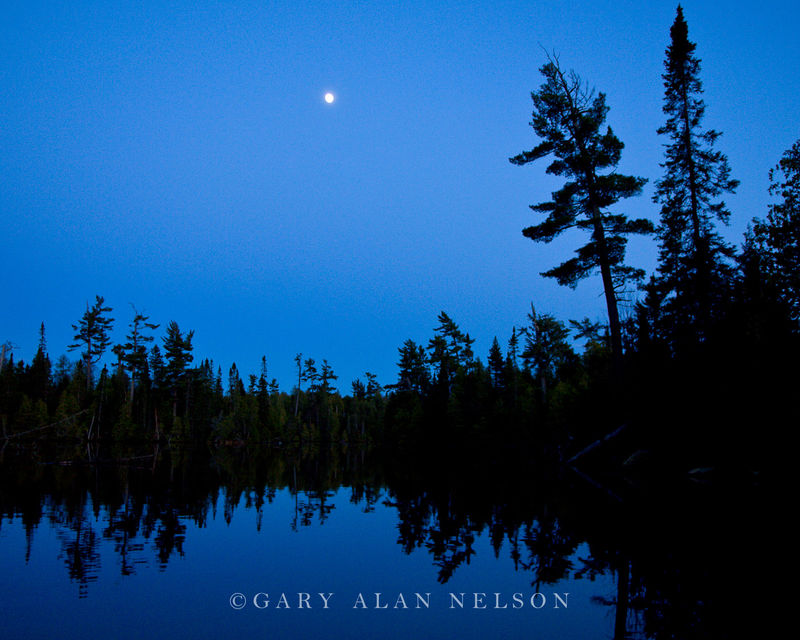 Full Moon over Moon Lake Boundary Waters Canoe Area Wilderness