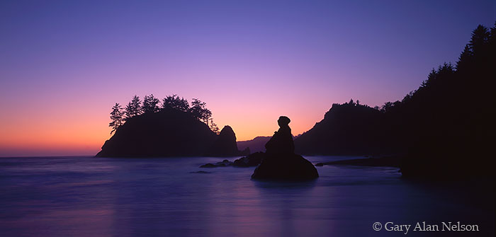 CA-95-5P-SP Twilight at Trinidad State Beach, Norethern California