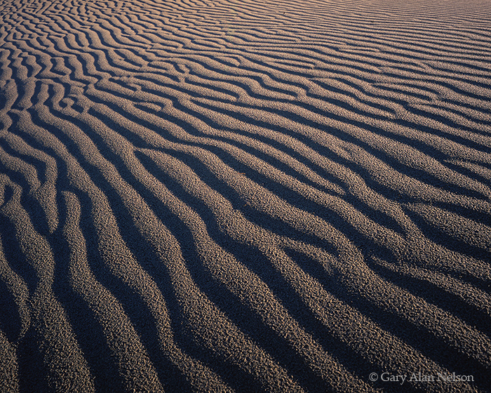 CA-98-12CR-NP Rippled sand dunes at dawn and the Grapevine Mountains, Death Valley National Park, California