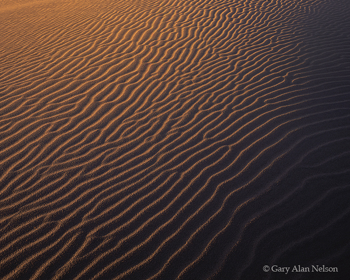 CA-98-8CR-NP Sand dunes on Mesquite Flat and the Last Chance Mountains, Death Valley National Park, California