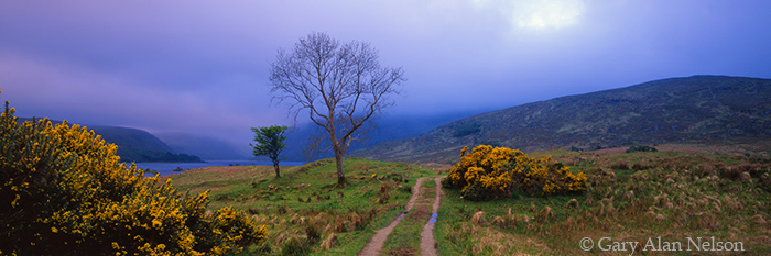 IR-97-24P-NP PATH AND CLOUDS, GLENVEAGH NATIONAL PARK, COUNTY DONEGAL, IRELAND