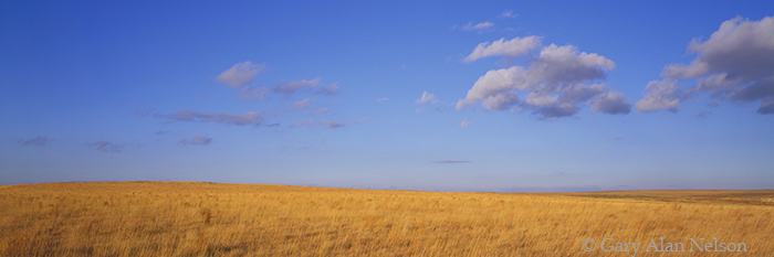 KS-97-12P-SC Short grass prairie in Logan County, Kansas