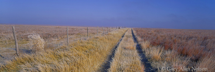 KS-97-13P-RU Path and fence slicing across a short-grass prairie in Logan County, Kansas