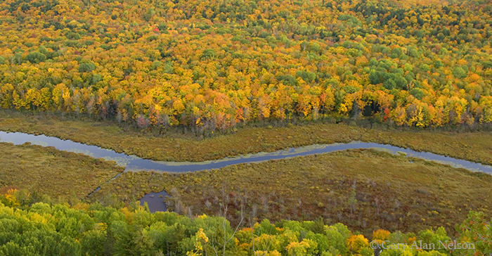MI-11-55-SP The Carp River flowing through Porcupine Mountains Wilderness State Park, Upper Peninsula, Michigan