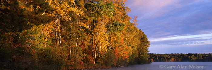 MN-00-47P-NF Autumn arrives on Little Long Lake, Chippewa National Forest, Minnesota