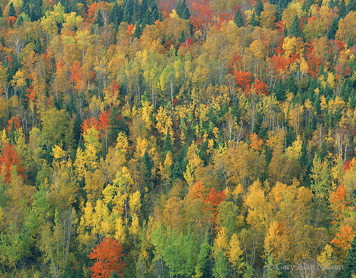 MN-00-64-NF Superior National Forest, Minnesota