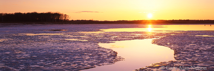 MN-04-28P-SWA Melting ice on pool of water in Carlos Avery State Wildlife Management Area, Minnesota