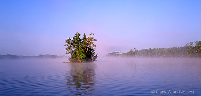 MN-04-97P-BW Crowded island growing out of Birch Lake, Bear Island State Forest, Minnesota